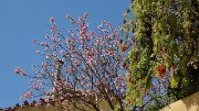20140509-083-Lisabon