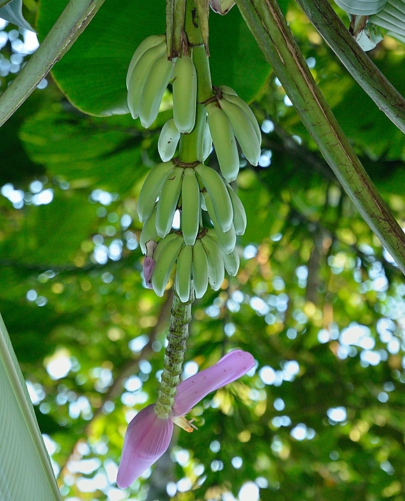 20140515-046-Singapore.jpg -  
