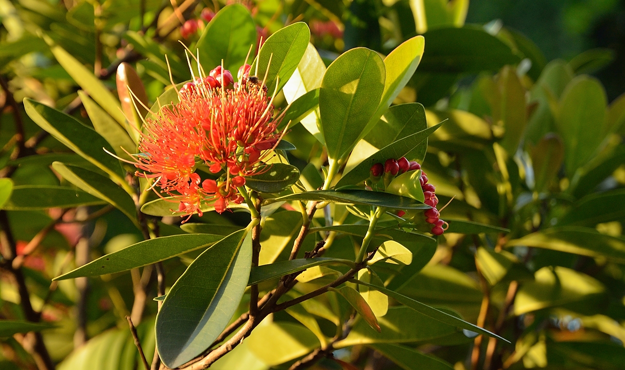 20140515-054-Singapore.jpg -  