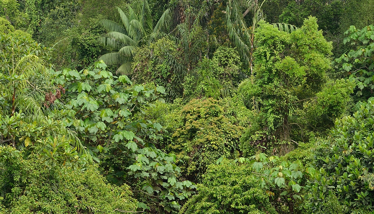 20140517-110-Singapore.jpg -  