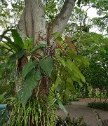20140516-080-Singapore