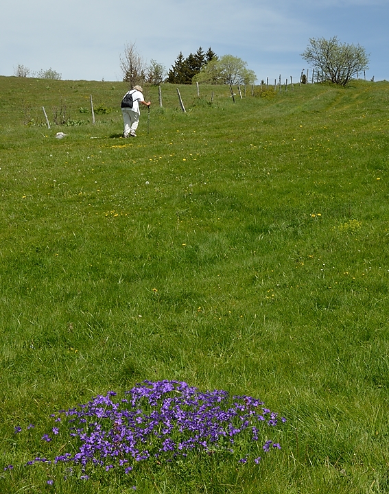 20140607-026-Moucherotte.jpg