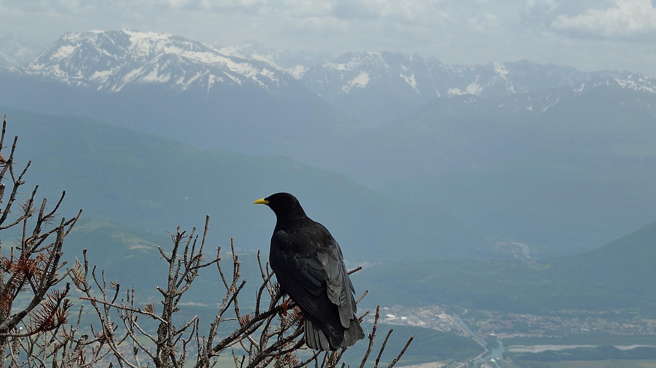 20140607-048-Moucherotte.jpg - Au sommet