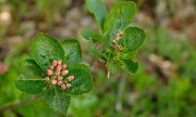 20140607-010-Moucherotte