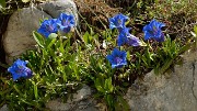 20140607-018-Moucherotte