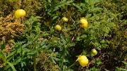 20140607-030-Moucherotte