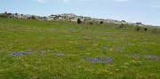 20140607-033-Moucherotte