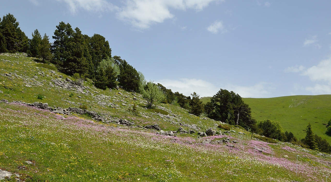 20140608-013-LesEssaures.jpg