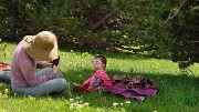 20140608-021-LesEssaures