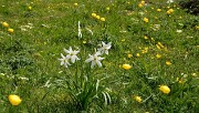 20140608-024-LesEssaures
