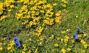 20140608-034-LesEssaures