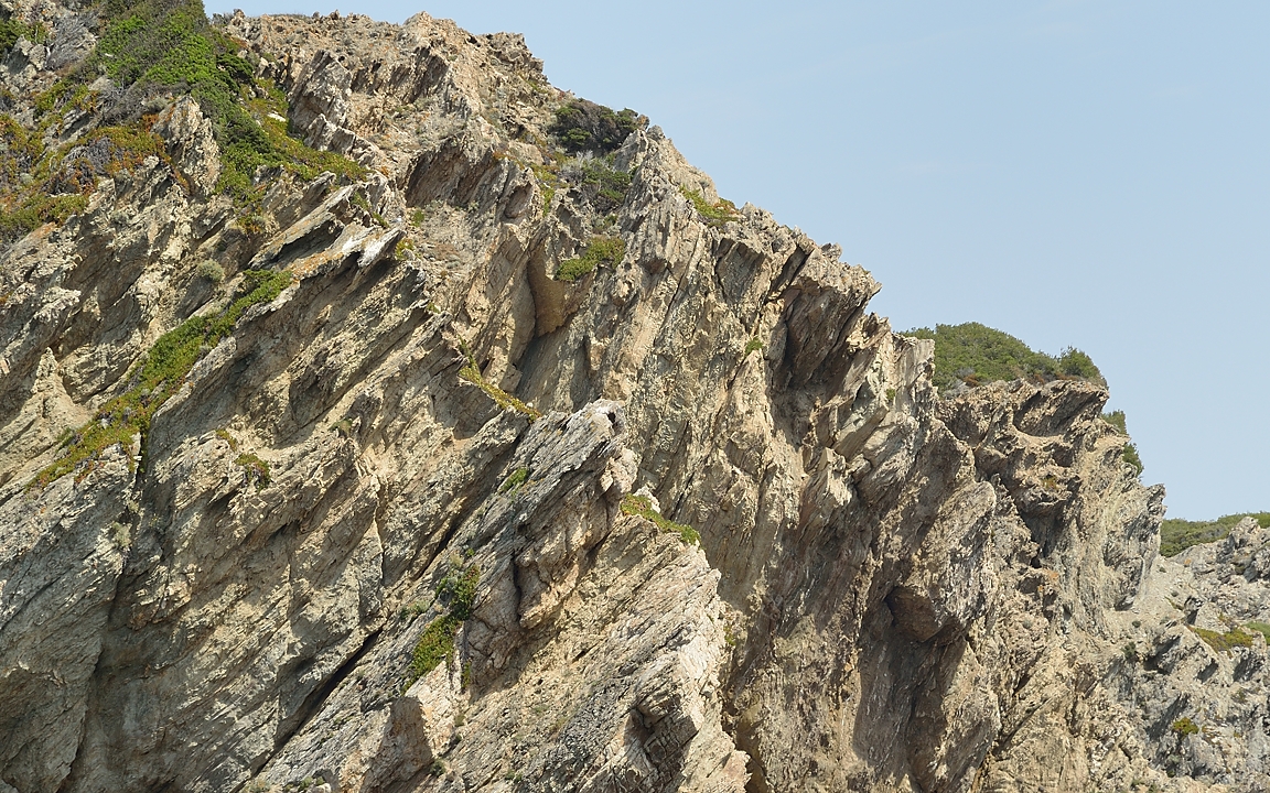 20140624-020-ISPDC-Porqueroll.jpg