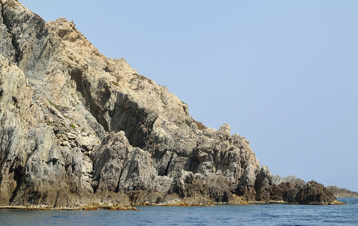 20140624-022-ISPDC-Porqueroll.jpg