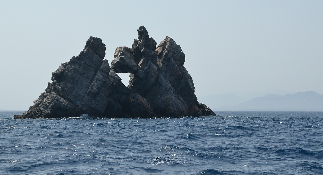 20140624-042-ISPDC-Porqueroll.jpg