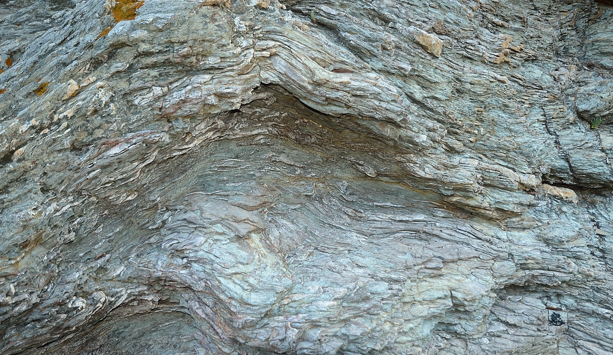 20140627-129-ISPDC-Porqueroll.jpg