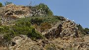20140624-016-ISPDC-Porqueroll