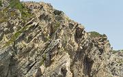 20140624-020-ISPDC-Porqueroll