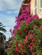 20140625-079-ISPDC-Porqueroll