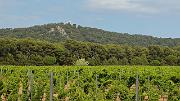 20140626-085-ISPDC-Porqueroll