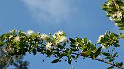 20140627-142-ISPDC-Porqueroll