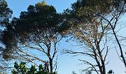 20140627-143-ISPDC-Porqueroll