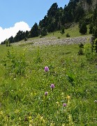 20140708-025-BerniVercors