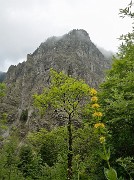 20140708-028-BerniVercors