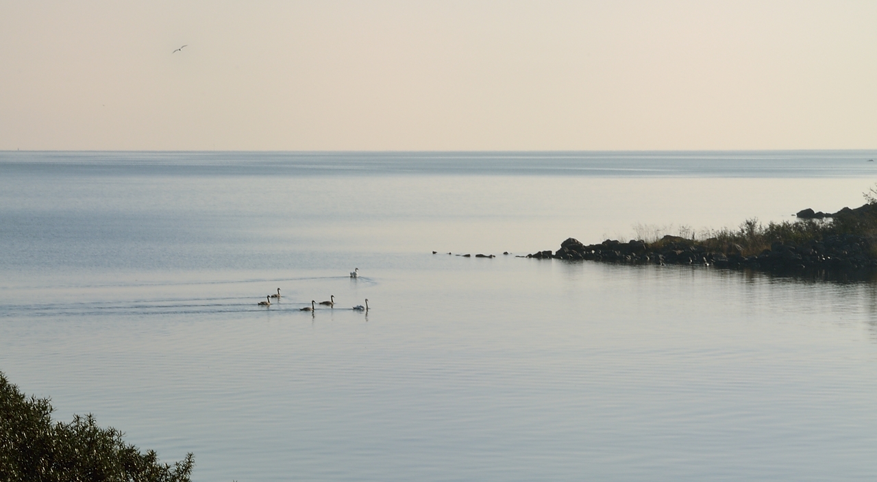 20140911-005-Uppsala.jpg -  