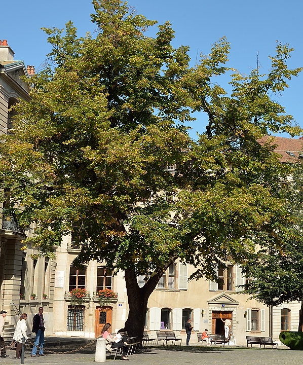 20140923-056-Geneva.jpg - Around the Cathedral