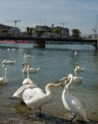 20140923-027-Geneva