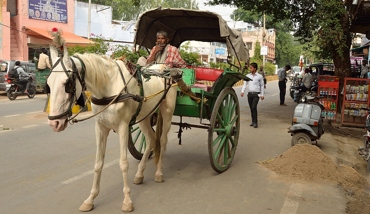 20141015-047-Delhi.jpg -   