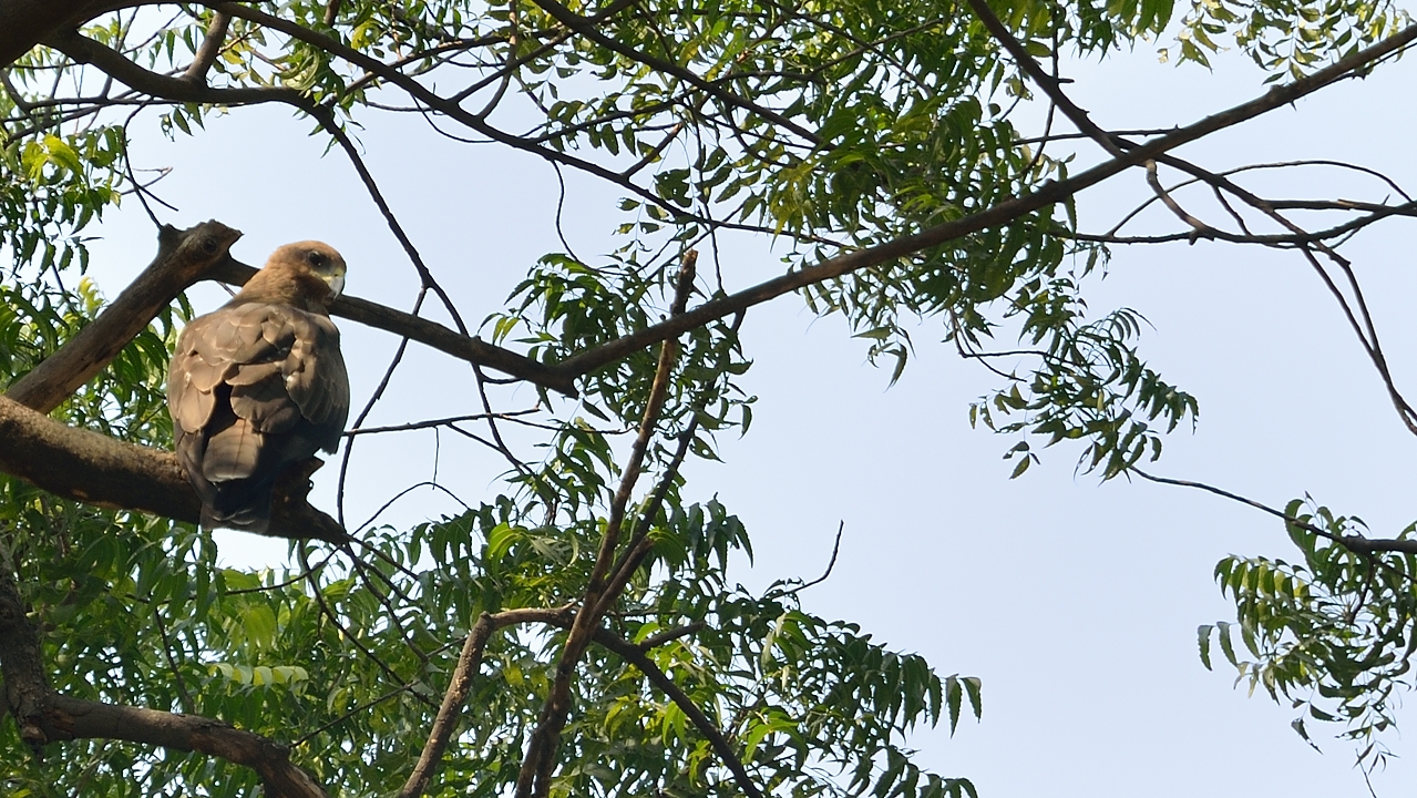 20141018-116-Delhi.jpg