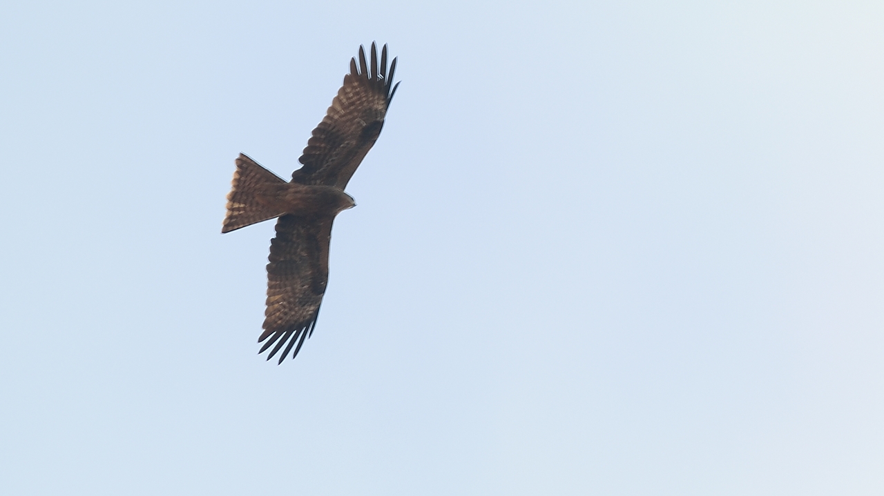 20141018-135-Delhi.jpg