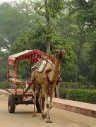 20141015-005-Delhi