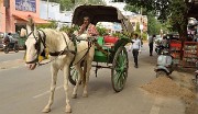 20141015-047-Delhi