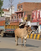 20141015-076-Delhi