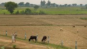 20141015-079-Delhi