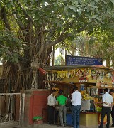 20141017-085-Delhi