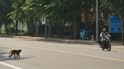 20141017-088-Delhi