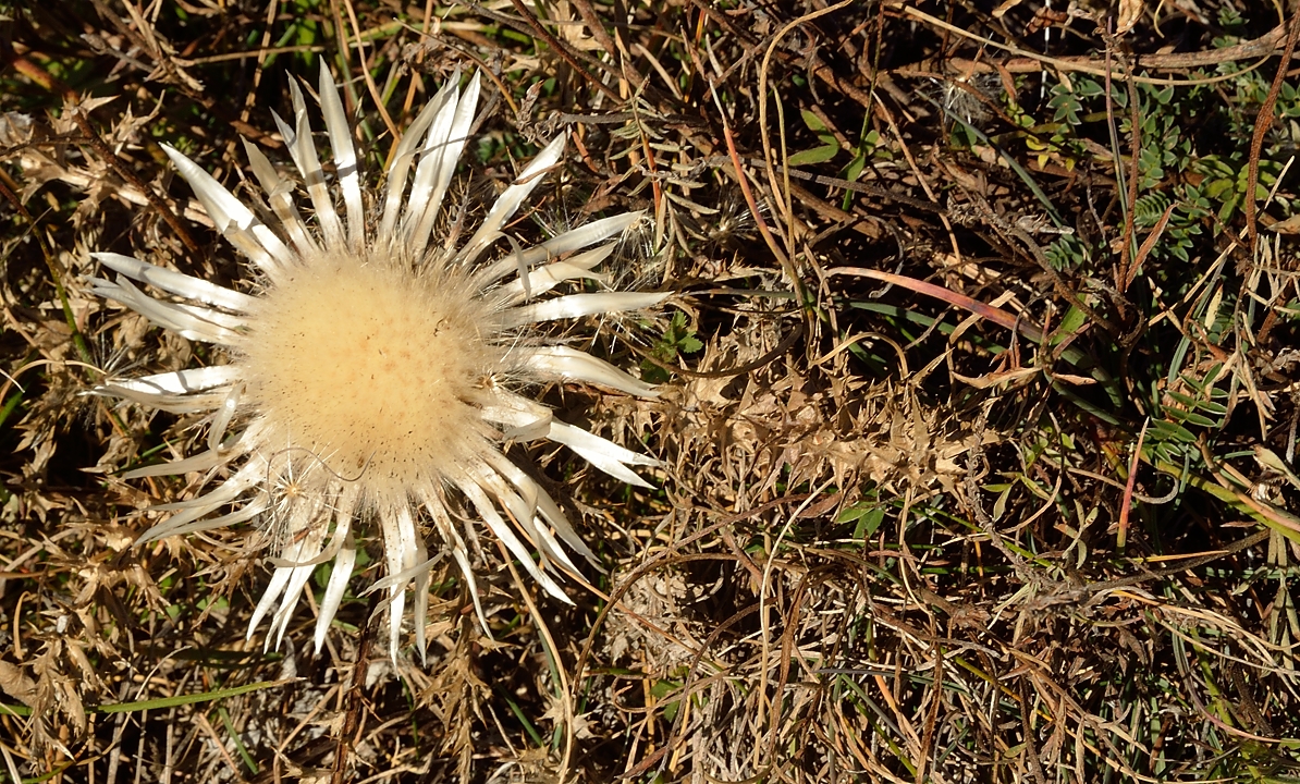 20141101-026-SignalLaGrave.jpg