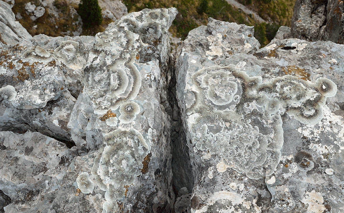 20141129-034-Granier.jpg