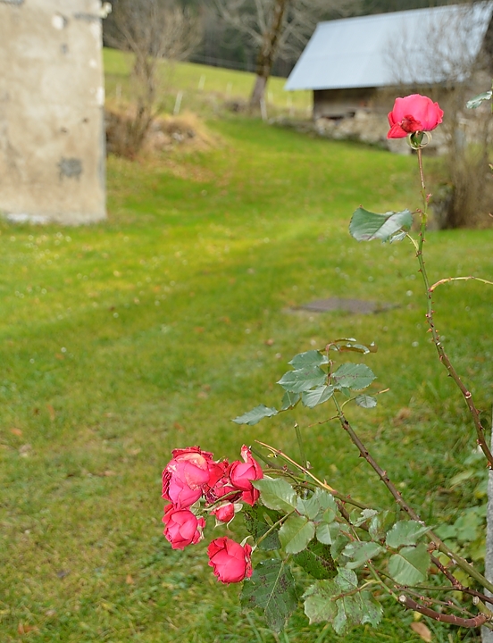 20141129-049-Granier.jpg