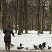 20141213-183-Petersbourg