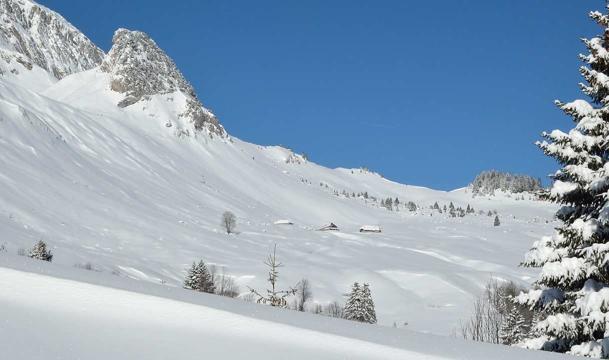20141229-020-Arcalod.jpg - Les Chalets Orgeval 100m sous le col --- on pensait qu'il y a pour un quart d'heure, mais il fallait 2 fois plus