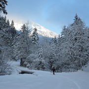 20141229-004-Arcalod