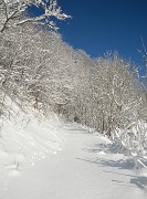 20141229-009-Arcalod
