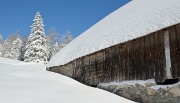 20141229-013-Arcalod
