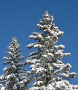 20141229-018-Arcalod