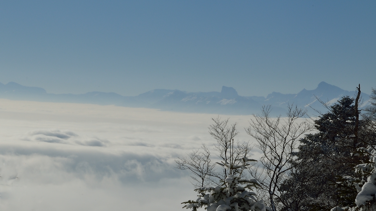 20150101-009-Pinea.jpg - Grenoble dans la crasse bien jaune ... et au loin le Grd Veymont et le Mt Aiguille