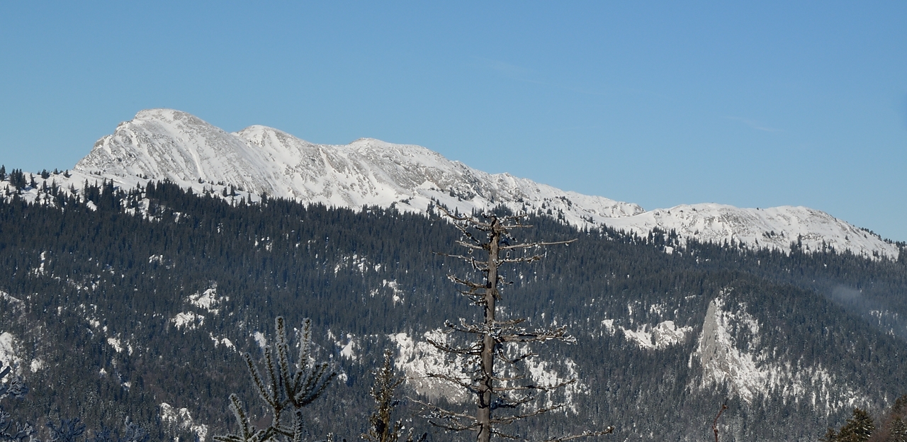 20150101-013-Pinea.jpg - La Grde Sure